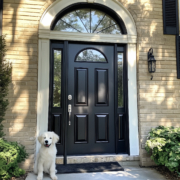 The Truth About Front Door Sales: How Entry Doors Can Transform Your Home.