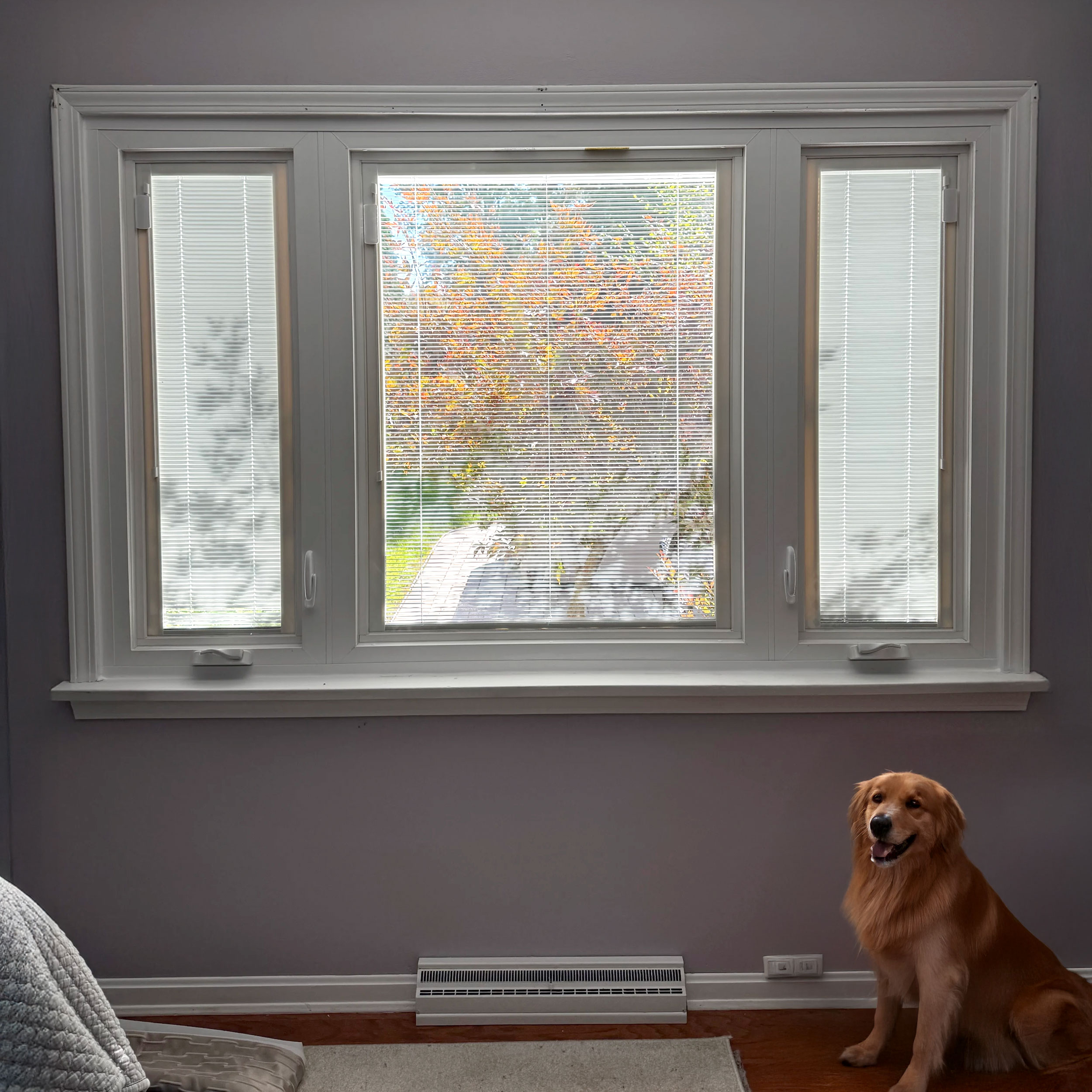 Windows With Blinds Inside: The Low-Maintenance Window Upgrade Louisville Homeowners Love.
